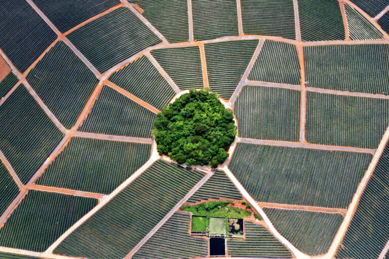 He Guangmin - Fingerprints-of-the-earth